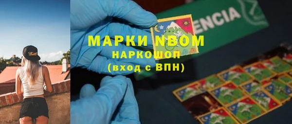 ГАЛЛЮЦИНОГЕННЫЕ ГРИБЫ Вязники